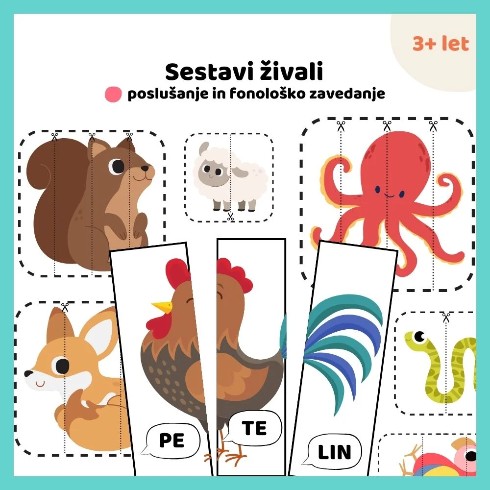 Sestavi živali